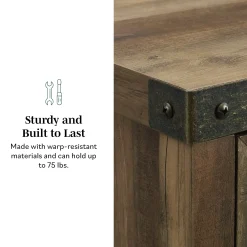 Barn Door Accent Cabinet