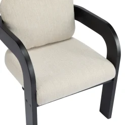 Black 2 Pack Dining Chairs with Pillow Back and Solid Wood Frame