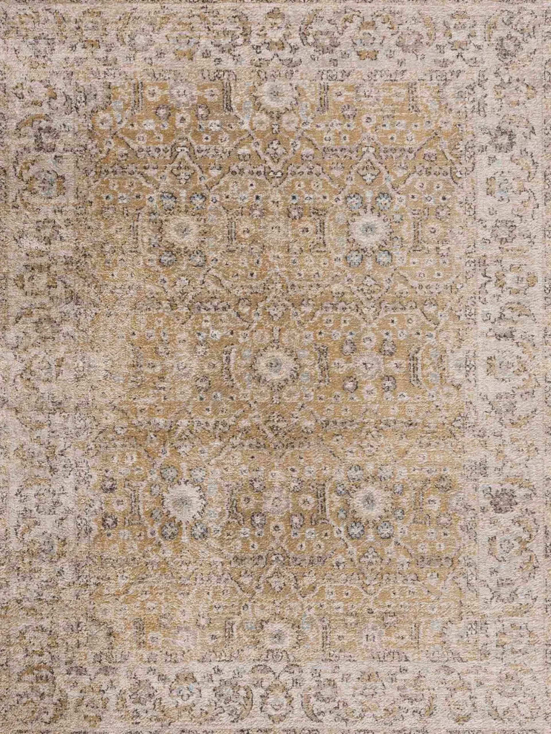 Boutique Rugs - Anana Gold & Beige Area Rug
