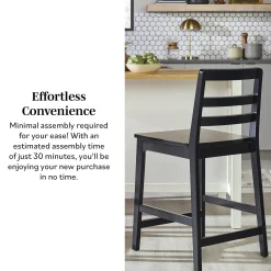 Erekson Solid Wood Ladder Back Bar Stool, Set of 2