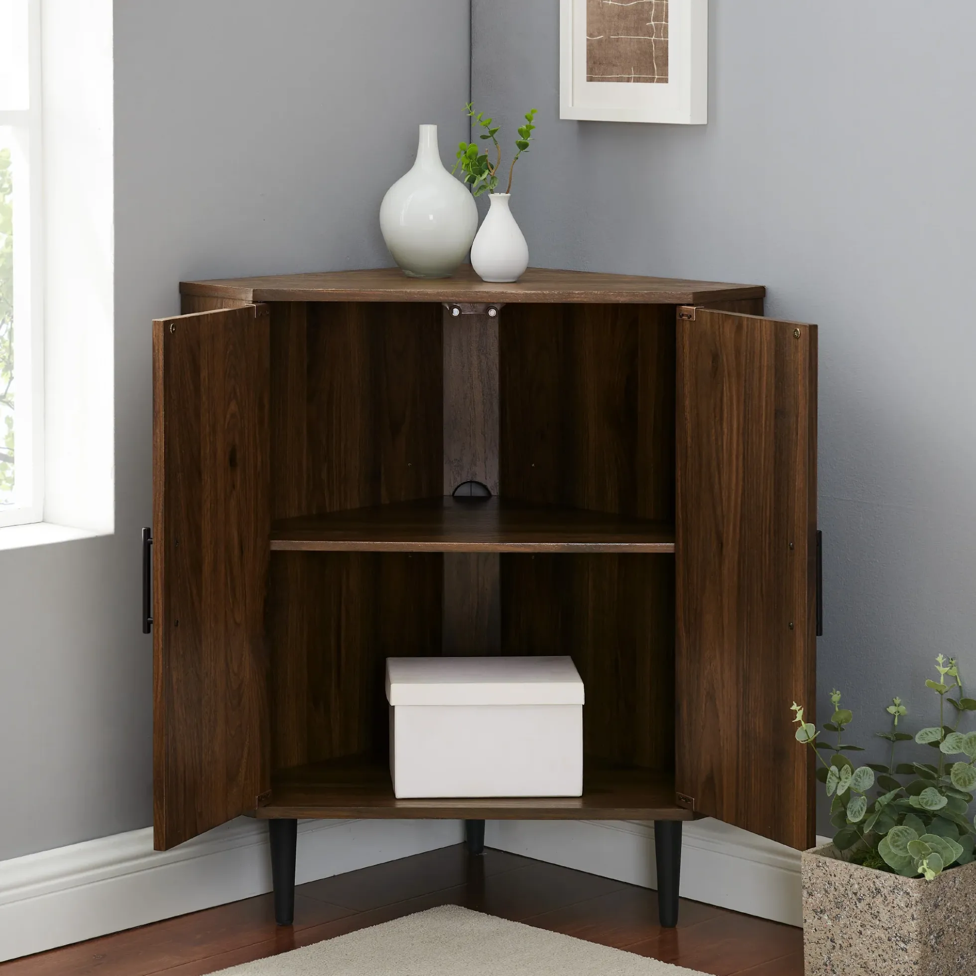 Nora 30" 2- Door Corner Accent Cabinet