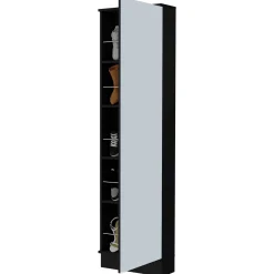 Single Door Mirror Shoe Rack Cabinet
