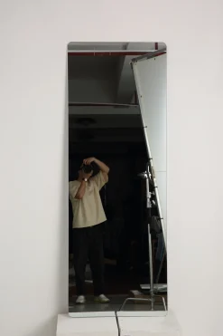 Walker Edison | 56 X 15in Wall-Mounted Mirror